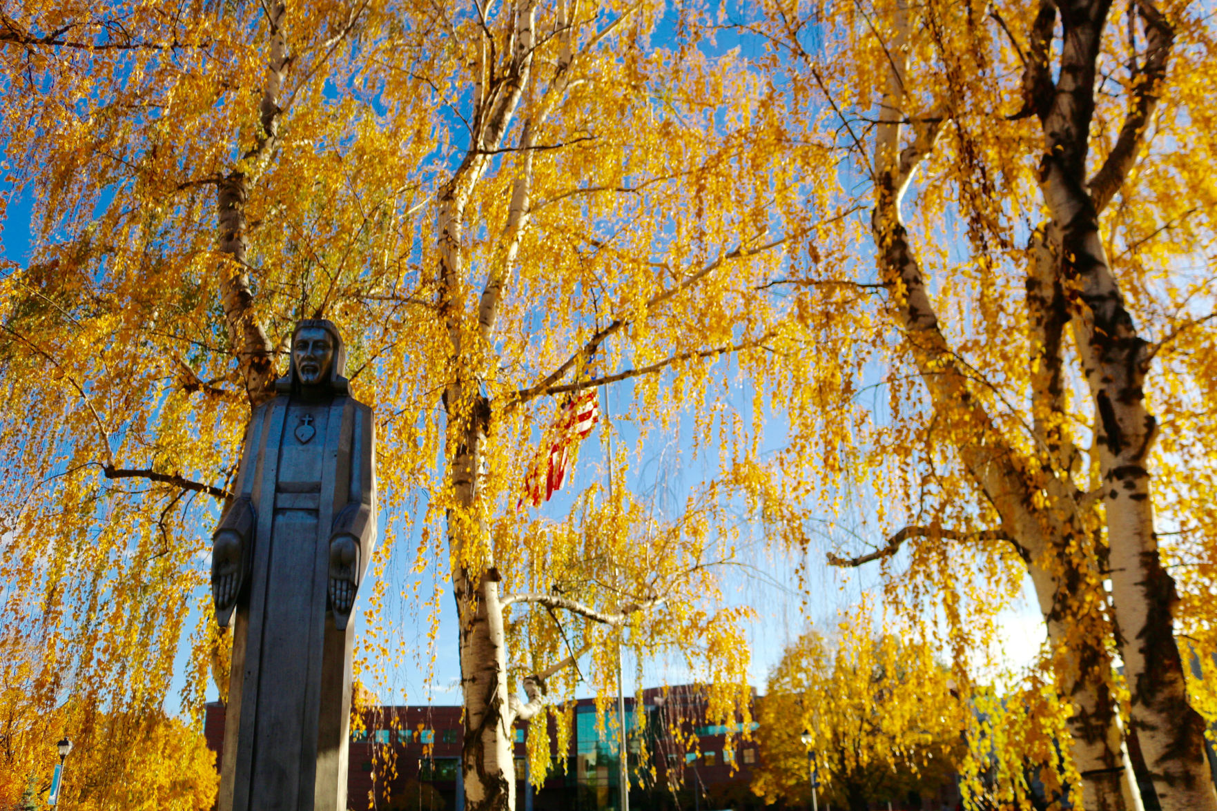 Campus Shots (2)